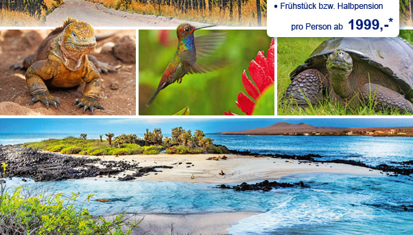 Rundreise: Ecuador & Klein Galápagos