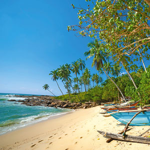 Rundreise: Sri Lanka
