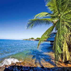 Kreuzfahrt: Hawaii