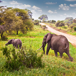 Rundreise: Namibia, Botswana & Simbabwe