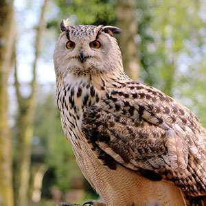 Rundreise: Abenteuer-Natur-Rundreise / Polen