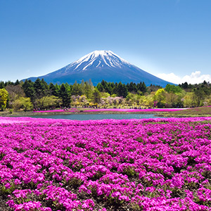 Rundreise: Japan