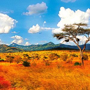 Rundreise: Kenia