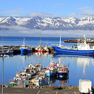 Kreuzfahrt: Island