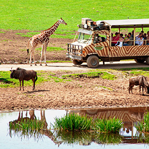 Hodenhagen: Serengeti-Park